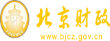 国产日BB网北京市财政局